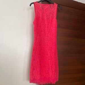 Express Lace Short Dress